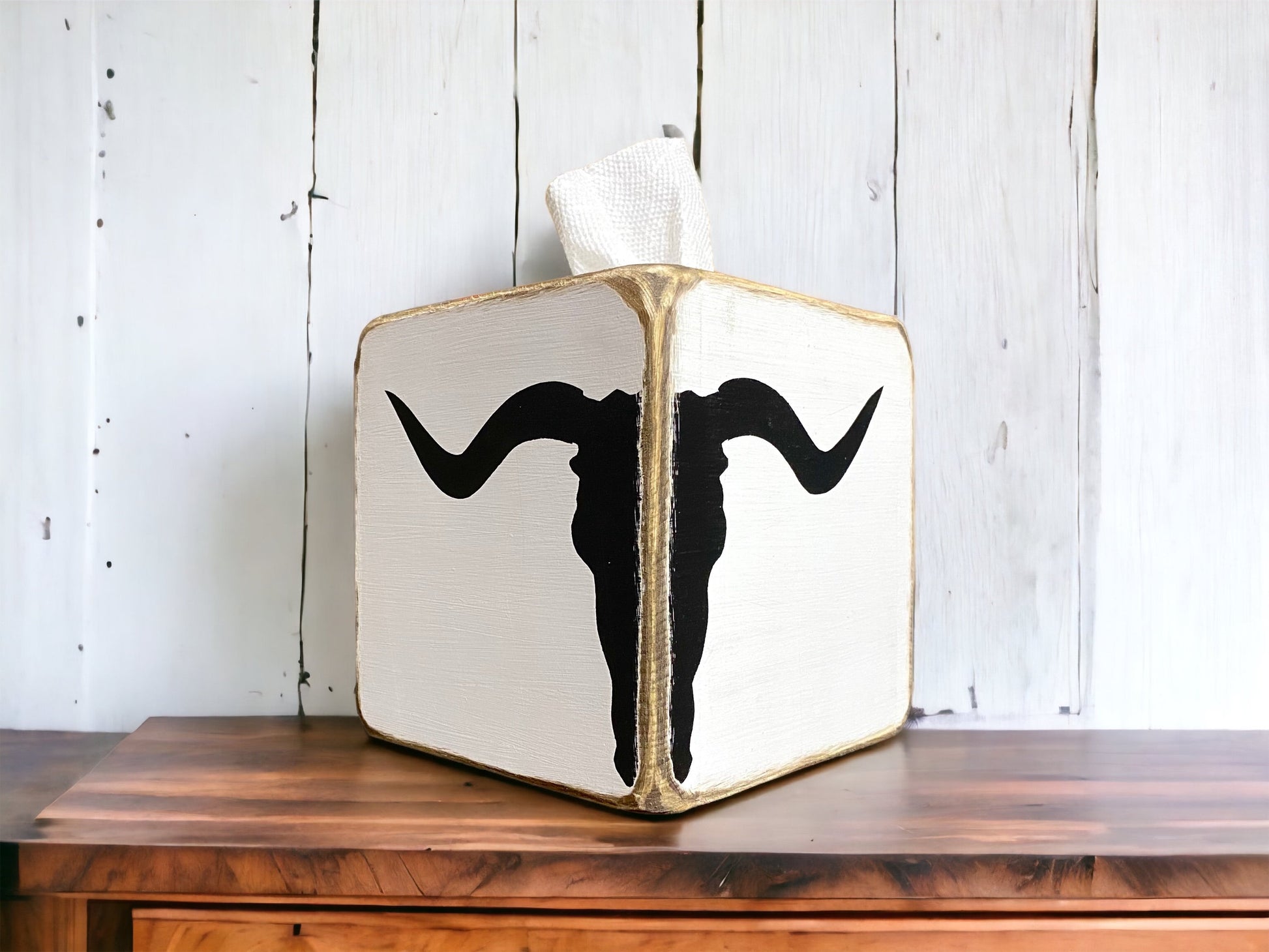 Texas longhorn decor
