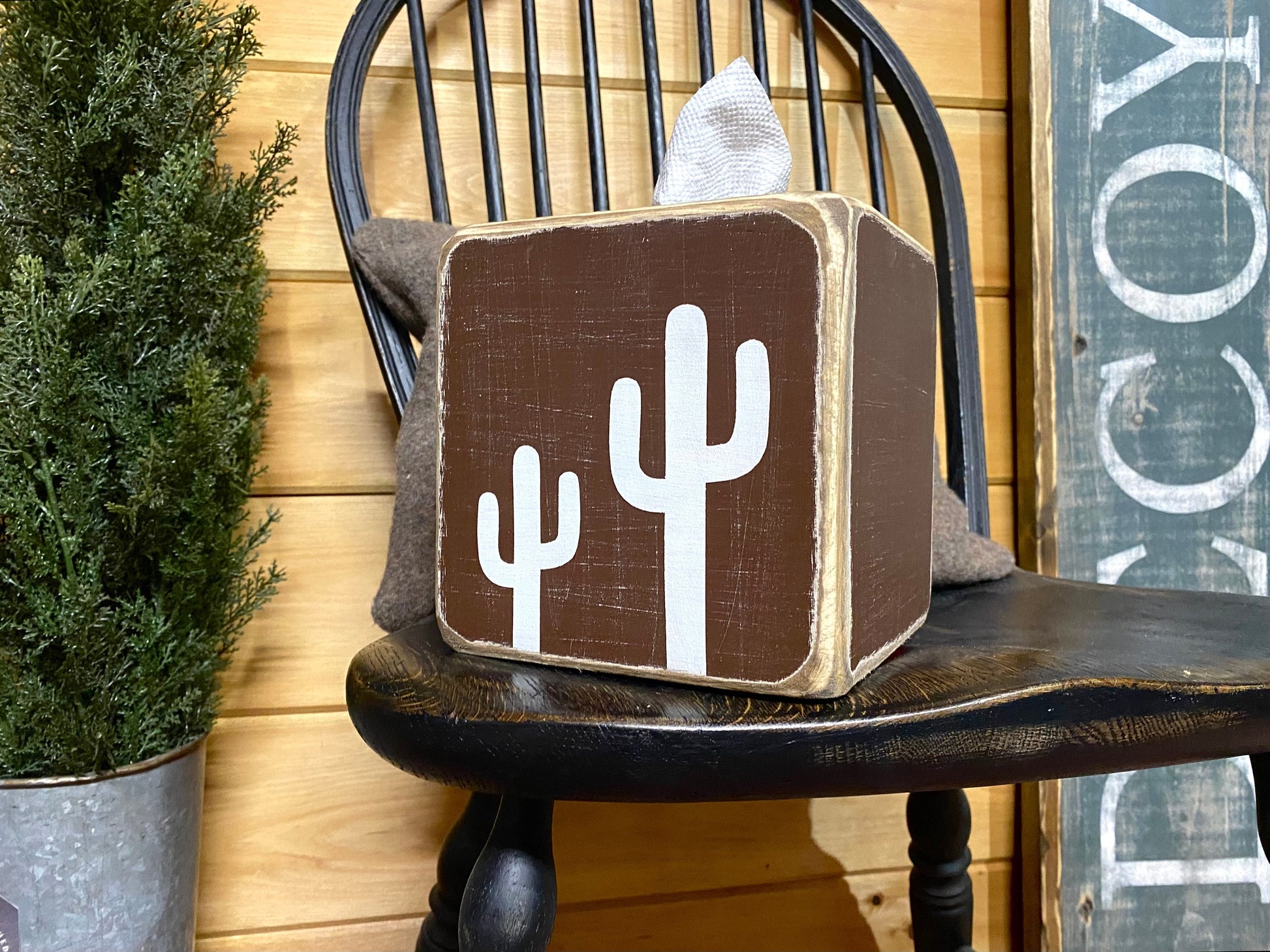 Cactus decorations 
